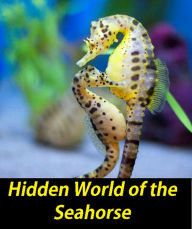 Title: World History: Hidden World of the Seahorse ( sea, brine, ocean, blue, briny, foam, horse, hoss, ambler, daisy-cutter), Author: World History Sea Life Animals Series