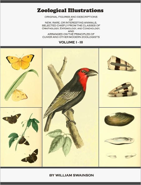 Zoological Illustrations, or Original Figures and Descriptions of New, Rare, or Interesting Animals (Volume 1 – 3) (Illustrated)