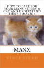 How to Care For Your Manx Kitten & Cat And Understand Their Behavior