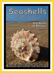 Title: Just Seashell Photos! Big Book of Photographs & Pictures of Ocean Seashells, Vol. 1, Author: Big Book of Photos