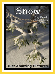 Title: Just Snow Photos! Big Book of Photographs & Pictures of Winter Snow, Vol. 1, Author: Big Book of Photos