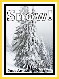 Title: Just Snow Photos! Big Book of Photographs & Pictures of Snow, Vol. 2, Author: Big Book of Photos