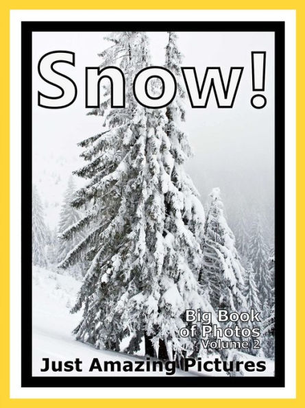 Just Snow Photos! Big Book of Photographs & Pictures of Snow, Vol. 2