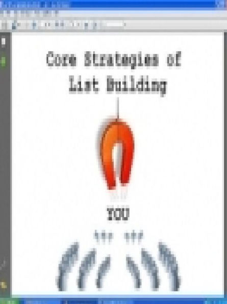 Core Strategies Of List Building
