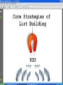 Core Strategies Of List Building