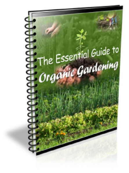 Essential Guide to Organic Gardening