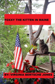 Title: Foxxy the Kitten in Maine, Author: Virginia Jones