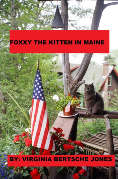 Foxxy the Kitten in Maine