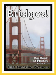 Title: Just Bridge Photos! Big Book of Photographs & Pictures of Bridges, Vol. 1, Author: Big Book of Photos