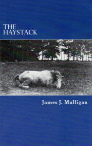 Title: The Haystack: A Novel, Author: James Mulligan