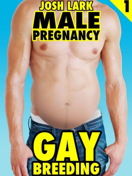 Gay Breeding, An Mpreg Anal Sex Story