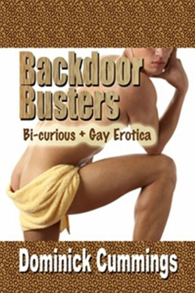 Backdoor Busters: Bi-Curious + Gay Erotica