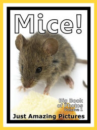 Title: Just Mouse Photos! Big Book of Photographs & Pictures of Mice, Vol. 1, Author: Big Book of Photos