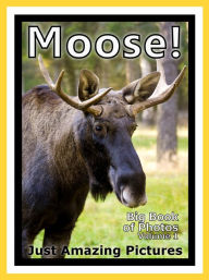 Title: Just Moose & Elk Photos! Big Book of Photographs & Pictures of Moose & Elk, Vol. 1, Author: Big Book of Photos