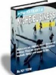 Title: How to Start A Niche Business On Internet, Author: Alan Smith