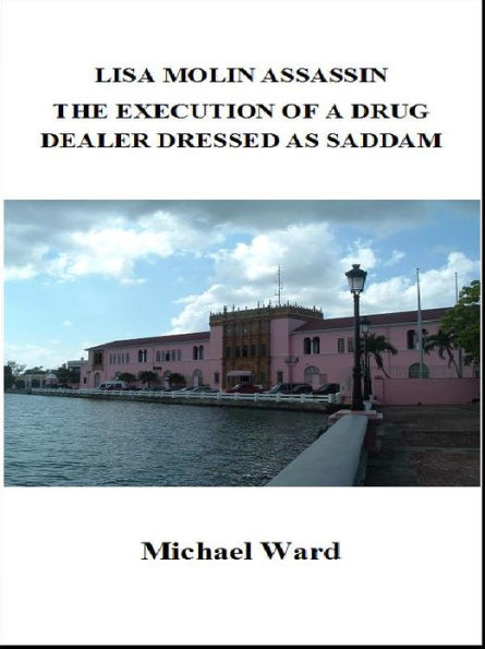 Lisa Molin Assassin - The Execution of a Drug Dealer Dressed as Saddam