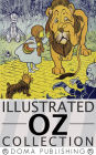 Wizard of Oz Illustrated Series: 15 Books, Wonderful Wizard of Oz, Marvelous Land, Dorothy and the Wizard, Road to Oz