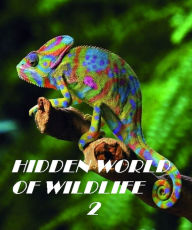 Title: Animals: Hidden World of Wildlife 2 ( spiders , tarantula , sea, creature, sea world, underwater world, horse, wild, forest, beast, animals, elephant, photo, fish, wildlife, ocean, shark, octopus ), Author: Animals Animal Kids Zoo eBooks