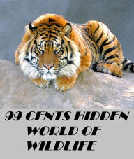 Title: Animals: 99 Cent Hidden World of Wildlife, Author: Animal Kids Zoo eBooks