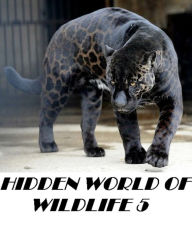 Title: Animals: Hidden World of Wildlife 5 Great for Kids and Adults Highly Recommended! animal, animals,ecology,conservation,lion,tiger,bear,mammal,elephant,leopard,cheetah, ( nature Children, amazing animals, cutest animals, baby animals, wild, forest, b, Author: Animals Animal Kids Zoo eBoos