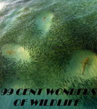 Title: Animals: 99 cent Wonders of Wildlife, Author: Animals Nature childrens eBooks