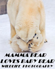 Title: Mamma Bear Loves Baby Bear Wildlife Photography ( spiders , tarantula , sea, creature, sea world, underwater world, horse, wild, forest, beast, animals, elephant, photo, fish, wildlife, ocean, shark, octopus ), Author: spiders Animal & Nature 4 Kids