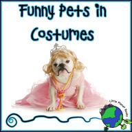 Title: Funny Pets in Costumes, Author: Rebecca Smith