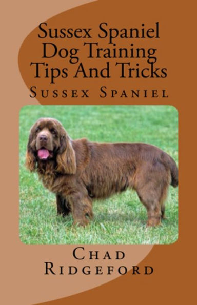 Sussex Spaniel Dog Training Tips And Tricks