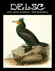 Title: John James Audubon Bird Illustrations, Author: Melanie Paquette Widmann