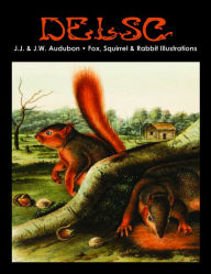 Title: J.J. & J.W. Audubon - Fox, Squirrel & Rabbit Illustrations, Author: Melanie Paquette Widmann