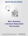 Micro Summary: The Crucible (Quick Literature Study Guide)