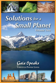 Title: Solutions for a Small Planet, Vol. 2, Author: Pepper Lewis