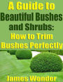 A Guide to Beautiful Bushes and Shrubs-How to Trim Bushes Perfectly