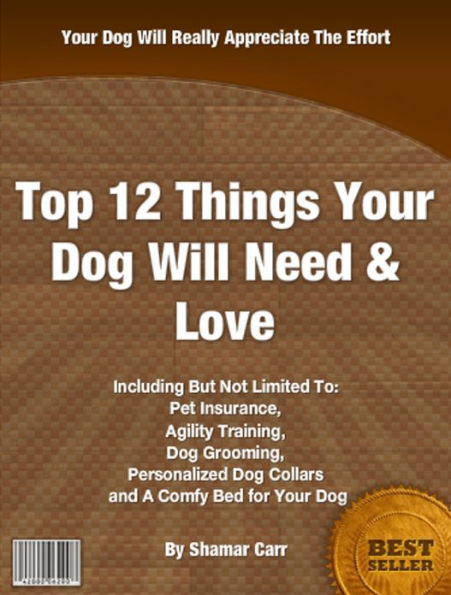 Top 12 Things Your Dog Will Need and Love: Including But Not Limited To, Pet Insurance, Agility Training, Dog Grooming, Personalized Dog Collars and A Comfy Bed for Your Dog