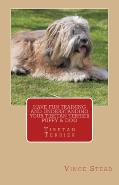 Have Fun Training and Understanding Your Tibetan Terrier Puppy & Dog