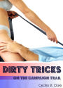 Dirty Tricks on the Campaign Trail (Anal Sex Erotica)