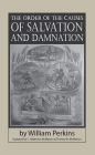 The Order of the Causes of Salvation and Damnation