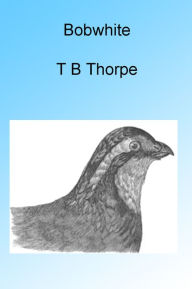 Title: Bobwhite, Author: Thomas Bangs Thorpe