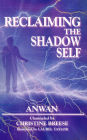 Reclaiming the Shadow Self: Facing the Dark Side in Human Consciousness