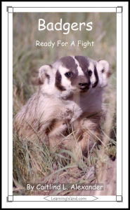 Title: Badgers: Ready for a Fight, Author: Caitlind Alexander