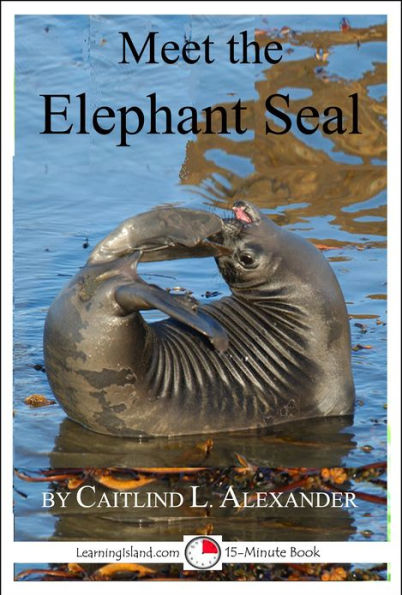 Meet The Elephant Seal: A 15-Minute Book For Early Readers