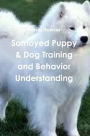 Samoyed Puppy & Dog Training and Behavior Understanding