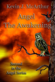 Title: Angel: The Awakening, Author: Kevin J. McArthur