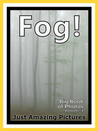 Title: Just Fog Photos! Big Book of Photographs & Pictures of Foggy Mist, Vol. 1, Author: Big Book of Photos