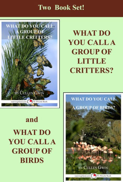 What Do You Call a Group…Two Book Set