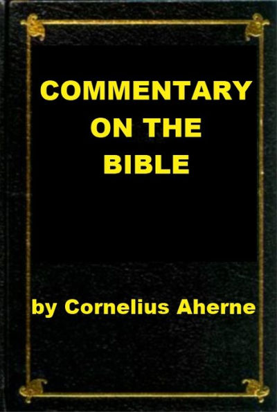 Commentary on the Bible - Catholic View