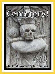 Title: Just Cemetery Graveyard Photos! Big Book of Photographs & Pictures of Cemeteries, Graveyards, Tombs, Tombstones, & Headstones, Vol. 2, Author: Big Book of Photos