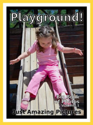 Title: Just Playground Photos! Big Book of Photographs & Pictures of Playgrounds, Vol. 1, Author: Big Book of Photos