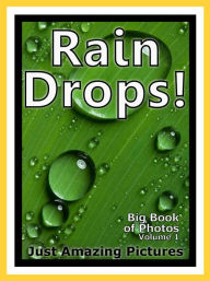 Title: Just Rain Drop Photos! Big Book of Photographs & Pictures of Water Rain Drops, Vol. 1, Author: Big Book of Photos