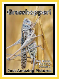 Title: Just Grasshopper Photos! Big Book of Photographs & Pictures of Grasshoppers, Vol. 1, Author: Big Book of Photos